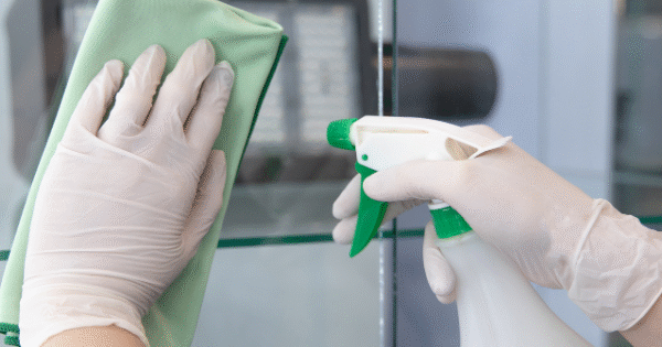 professional cleaning services