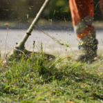 grounds maintenance - grass cutting