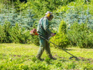 grounds maintenance - grass cutting