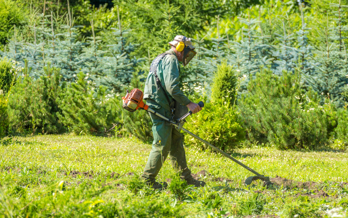 grounds maintenance - grass cutting