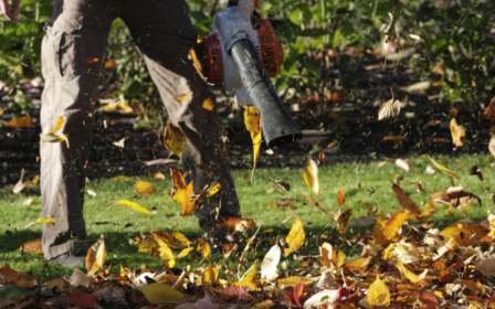 grounds maintenance - leaf blower