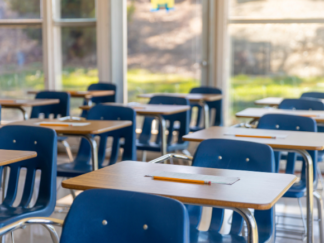 Education Sector